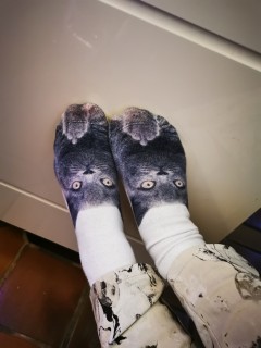 Mes chaussettes fuckcats
