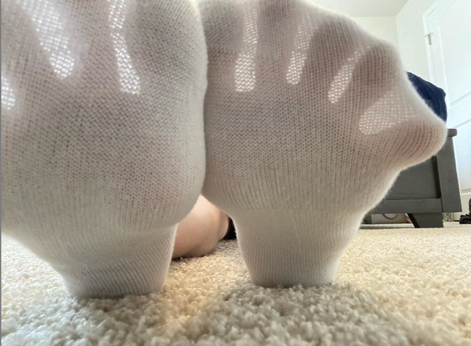 Born To Be A Bitch - culotte sale